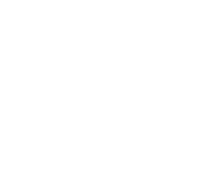 Logo: nordic
