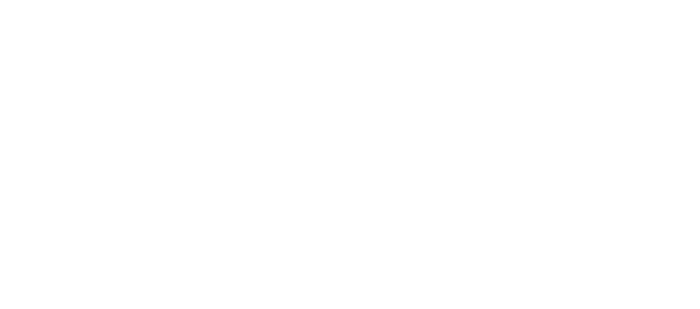 Logo: dfi