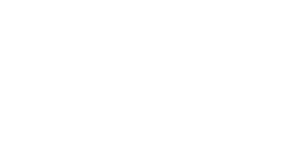 Logo: fsp